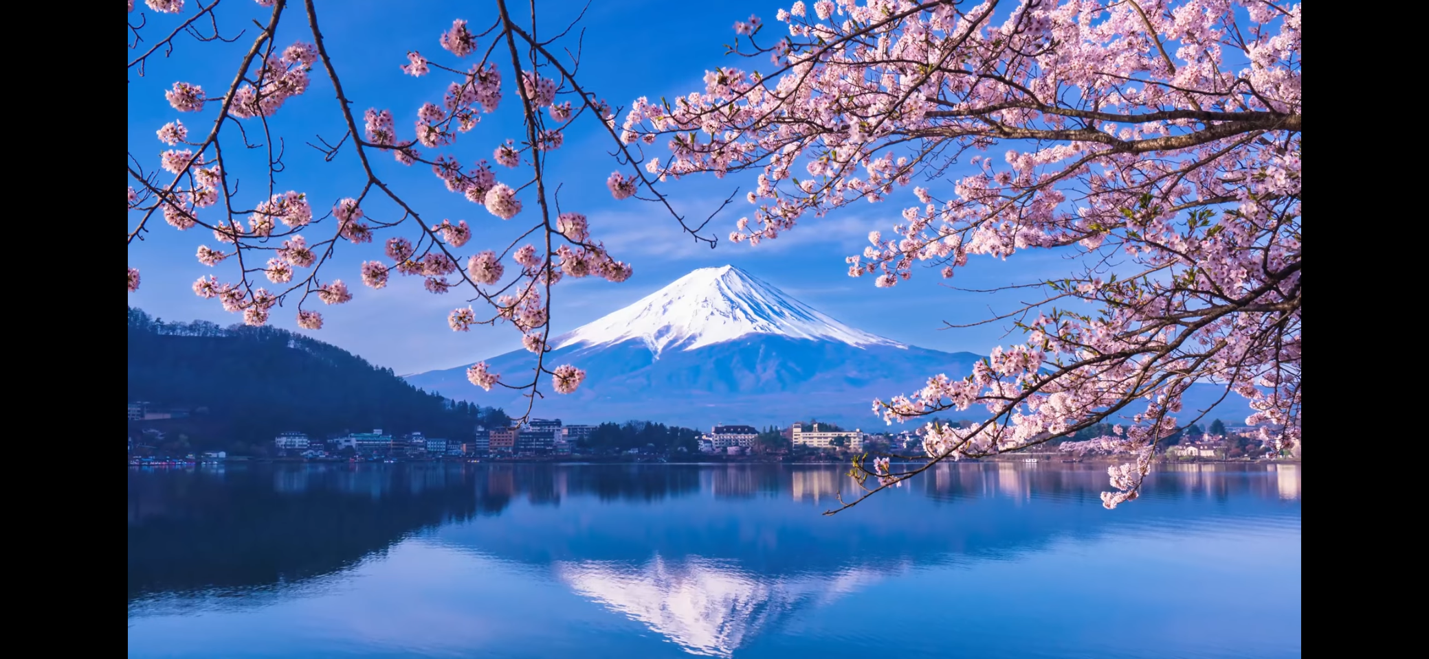 世界に誇る発酵技術をリードして日本の味を作る